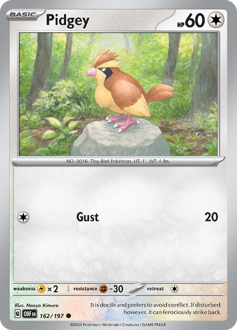 Pidgey (162/197) [Écarlate et Violet : Flammes d'Obsidienne] 