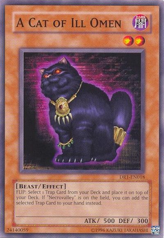 Un chat de mauvais augure [DR1-EN018] Commun 