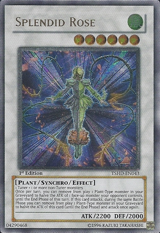 Rose splendide [TSHD-EN043] Ultime Rare 
